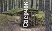 Сверчок - Вячеслав Слесарев