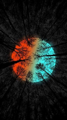 Дом колдуна - Автор неизвестен