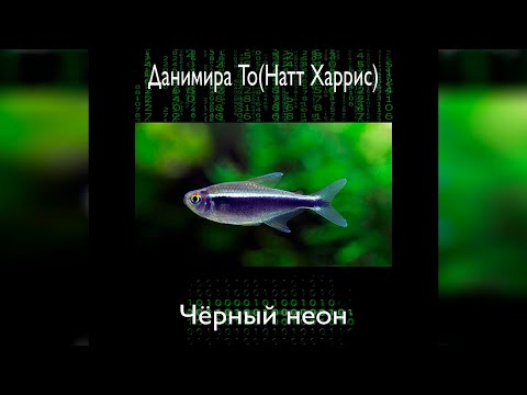 Данимира То - Черный неон (аудиокнига) | фантастика, цифровое бессмертие