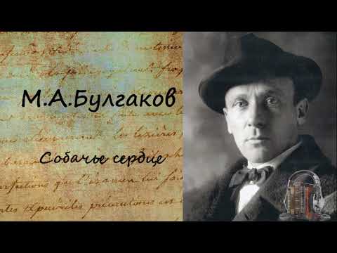 Собачье сердце