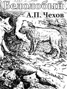 Белолобый - Антон Чехов