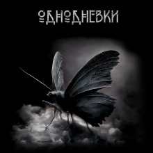 Однодневки - Автор неизвестен