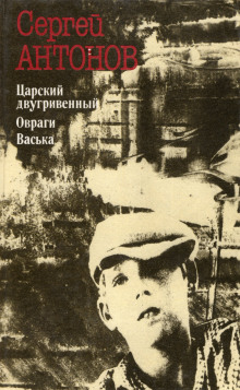 Царский двугривенный - Сергей П. Антонов