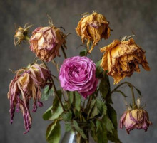 Их на могилу стыдно положить - Артур Алехин