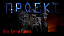 Проект - Дмитрий Видинеев