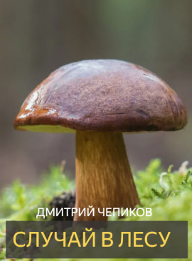 Случай в лесу - Дмитрий Чепиков