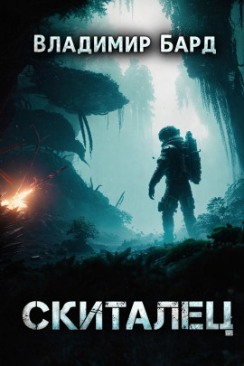 Скиталец - Владимир Бард