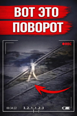 Убийца в парике - Автор неизвестен