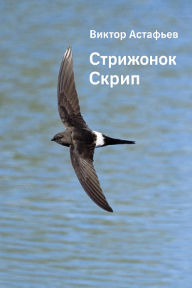 Стрижонок Скрип - Виктор Астафьев