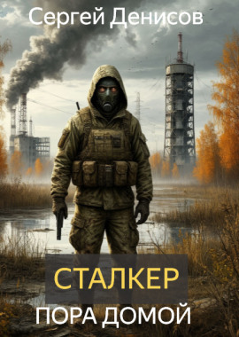 Сталкер. Пора домой - Автор неизвестен