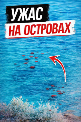 Смерть у скал - Автор неизвестен