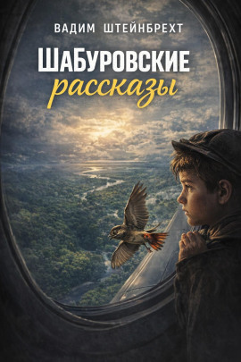 Шабуровские рассказы - Вадим Штейнбрехт