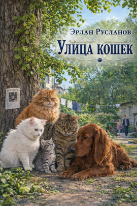 Улица кошек - Эрлан Русланов